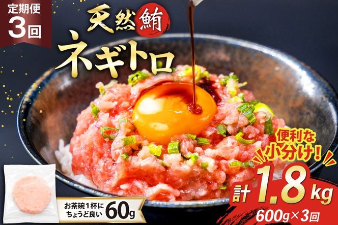 3回 定期便 天然 マグロ ネギトロ まぐろたたき 冷凍 60g 10個 計600g [トライ産業 静岡県 吉田町 22424389] 小分け 個包装 まぐろのたたき 鮪 まぐろ ネギトロ丼 ねぎとろ マグロたたき