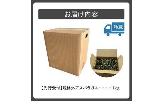 【2026年発送先行予約！】訳ありアスパラガス 1kg！ アスパラ アスパラガス 野菜 訳ありアスパラ 旬 訳ありアスパラガス 保存 北海道産 2026年 アスパラガス 産直 産地直送 お取り寄せ 清水町 北海道 _S021-0012