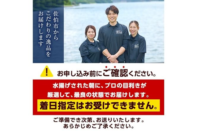 シマアジ 刺身用 ブロック 冷蔵(1匹分・4-5人前)シマアジ しまあじ 神経締め 獲れたて 鮮魚 ブロック 刺身 冷蔵 海の直売所 大分県 佐伯市【AS134】【海べ (株)】