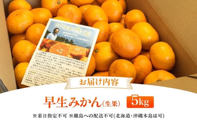 【先行予約】【数量限定】田縁農園の早生みかん（生果）5kg （2026年11月10日より順次発送）IKTA001
