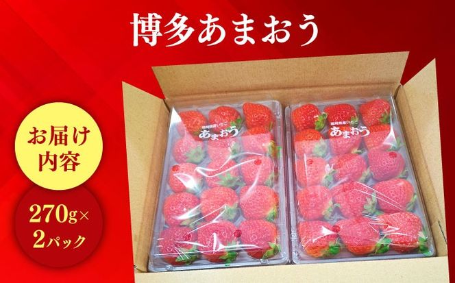 【予約受付】【2月1日より順次発送】農家直送 朝採り新鮮いちご【博多あまおう】約270g×2《築上町》【株式会社H&Futures】[ABDG003]