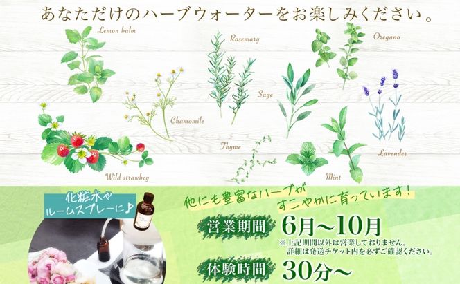 北海道 アロマ ウォーター 蒸留 体験 2枚 ハーブ フレッシュ オリジナル ハーブ畑 天然 リラックス 癒し リラクゼーション フレグランス ハーバルランチ 送料無料 洞爺湖 