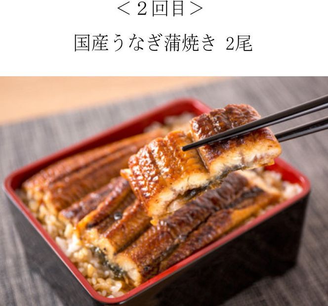 【全4回】家族みんなで楽しめる＼たっぷり容量ならコレ／絶品おかず定期便（さば・鰻・サケ・海鮮丼）【tkb305】