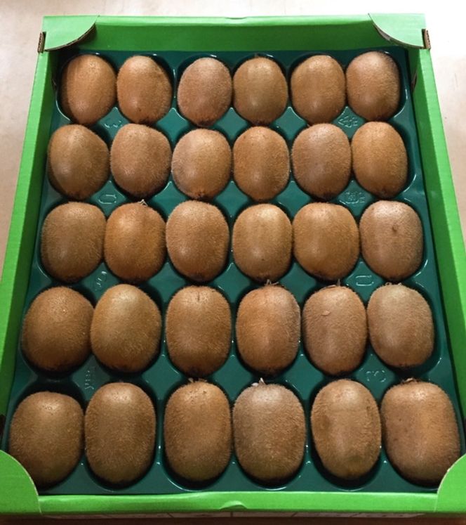 【先行予約】和歌山県産 キウイフルーツ 約3.6kg（20～36玉）秀品 M～4Lサイズ混合 フルーツ キウイ