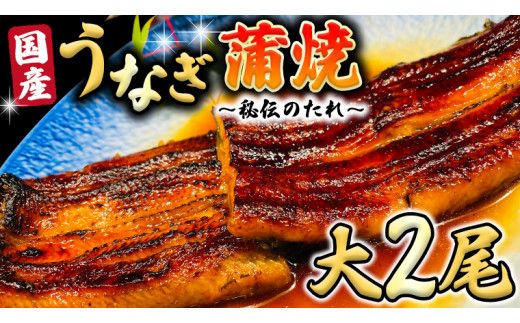 国産 うなぎ 蒲焼 大サイズ 2尾 【 日本料理 ひたち野いしざき 秘伝 の たれ焼き 】 鰻 ウナギ おいしい 美味しい 蒲焼き かばやき 丑の日 土用の丑の日 土用 グルメ おかず お取り寄せ お土産 贈り物 贈答 お祝い 記念日 ギフト 茨城 魚 [BO001us]