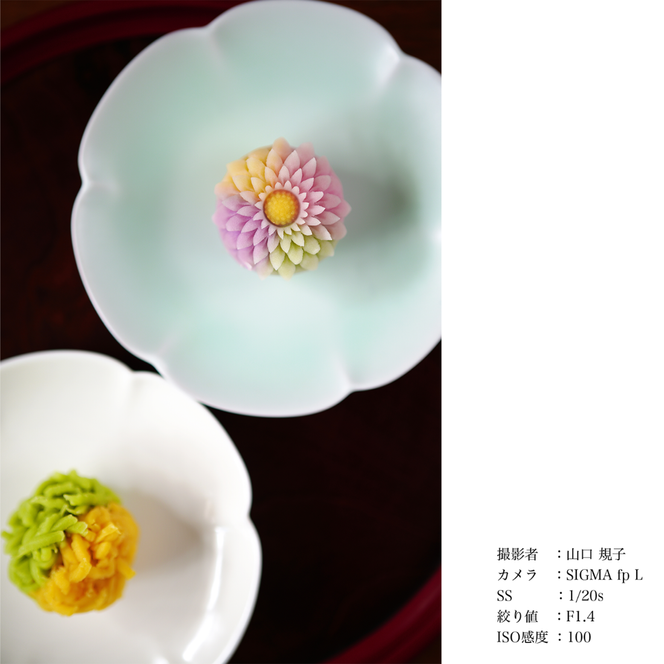 SIGMA 50mm F1.4 DG DN | Art【Lマウント】