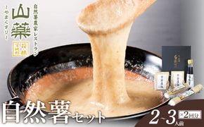 お店の味をご家庭で。【箱根自然薯の森 山薬】自然薯セット(2～3人前×2回分)【とろろ 極上とろろ 山芋 箱根 お家用 家庭用 国産 セット商品 自然薯 神奈川県 小田原市 】 142069_DV001