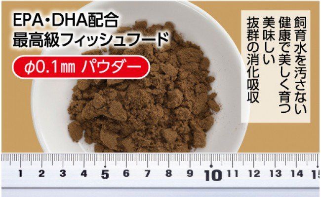 【CF-R7hbk】KGC026　らんちう貴族S 50g ふ化稚魚用 ＜最高級 フィッシュフード EPA・DHA配合 パウダータイプ らんちゅう 金魚 餌＞【餌 えさ エサ】【観賞魚 餌やり】【水槽/熱帯魚/観賞魚/飼育】【生体】【アクアリウム/あくありうむ】