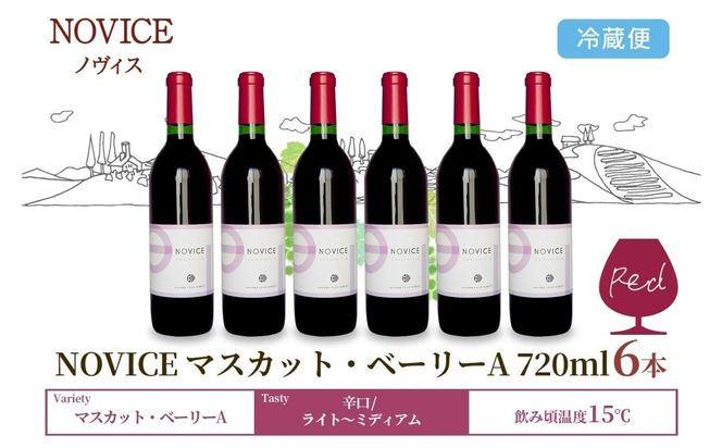 赤ワイン NOVICE マスカット・ベーリーA 720ml×6本 フルボトル  ワイン お酒 赤 山梨 送料無料 日川中央葡萄酒 山梨県 笛吹市 177-7-31