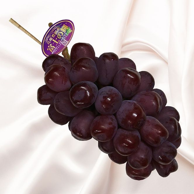 yɌLszLԂǂ xm̋P 600g / LuhE Yn Z Ö RN 炲 Hׂ _ Ԃǂ uhE  ʕ  t[c ӂ_