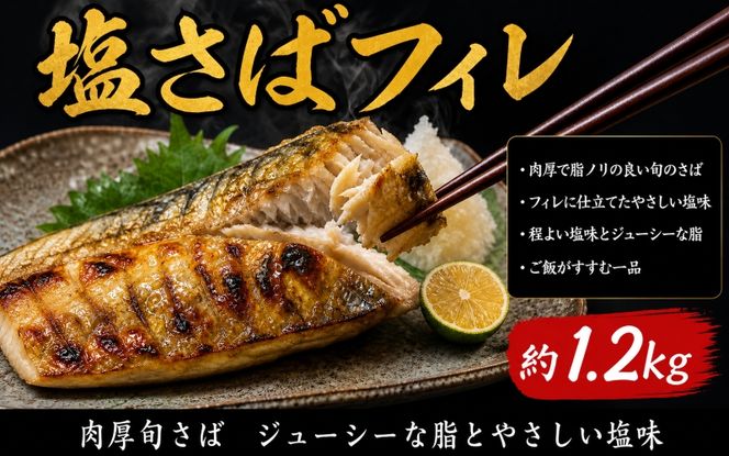 【ご家庭用訳あり】人気の塩さばフィレ＆紅鮭切身セット計2kg/ 和歌山 魚 さば 鮭 ※離島への配送不可【uot797C】