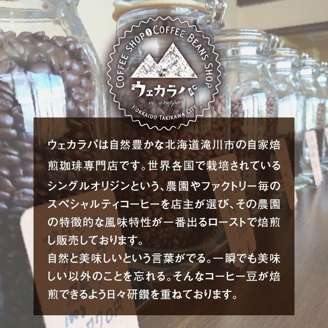 スペシャルティコーヒードリップバッグセット4種類16袋｜珈琲 コーヒー coffee 高品質 飲料 ドリップバッグ ドリップ 自家焙煎 自家焙煎珈琲 焙煎コーヒー 個包装 ソフトドリンク ブラック 人気高評価ランキング おすすめ 滝川市 ウェカラパ