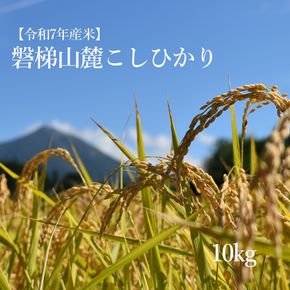 【数量限定】令和7年産コシヒカリ　10kg　磐梯山麓こしひかり　精米