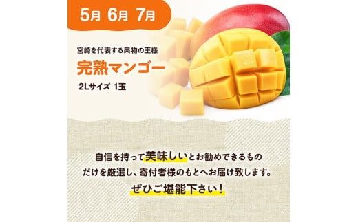 マンゴー 【3ヶ月定期便】完熟マンゴー定期便Vol.1【 川南町産 くだもの マンゴー 】[C11706t3]