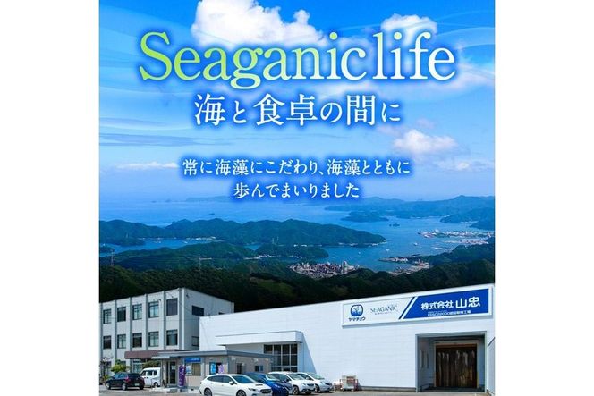  九州産 カットわかめ (合計10袋・1袋20g入) 海藻 わかめ 味噌汁 みそ汁 サラダ 酢の物 スープ 国産 九州産 常温 大分県 佐伯市【CW12】【(株)山忠】