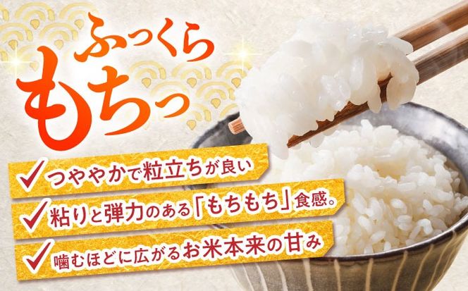 【特別栽培米】 ヒノヒカリ 15kg (5kg×3袋) / 米 精米 白米 ごはん ご飯 ひのひかり / 南島原市 / 農家民宿　いちご一会[SBN003]