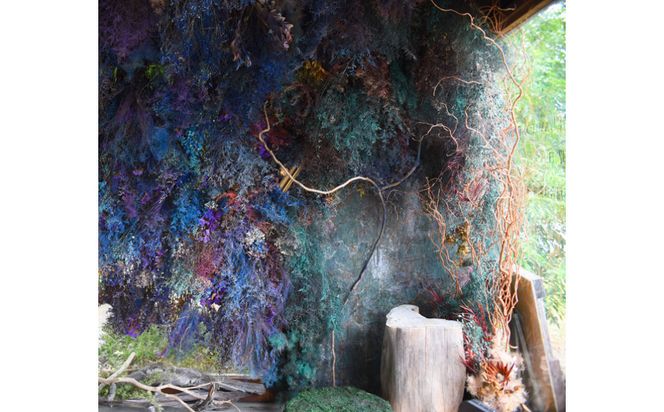 花の異空間　レンタルスペース（3名様・2時間）〈月～土　am9:00～pm5:00〉 272230_BG084