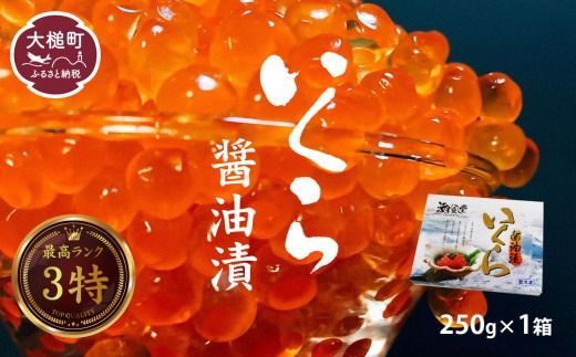 【2025年10月下旬より発送】いくら 醤油漬け 250g 国産3特【0tsuchi00926】