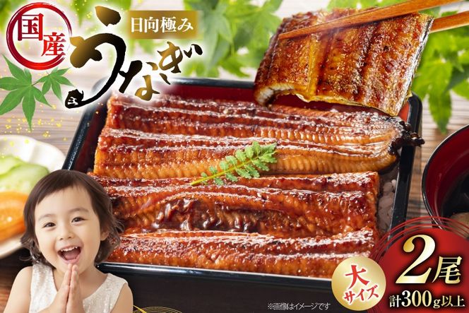 うなぎ 国産 日向極み うなぎ蒲焼 2尾 計300g以上 【たれ・山椒付き】 [日向サンパーク 宮崎県 日向市 452061636] ギフト 小分け 真空パック 鰻 ウナギ うなぎの蒲焼 蒲焼 蒲焼き