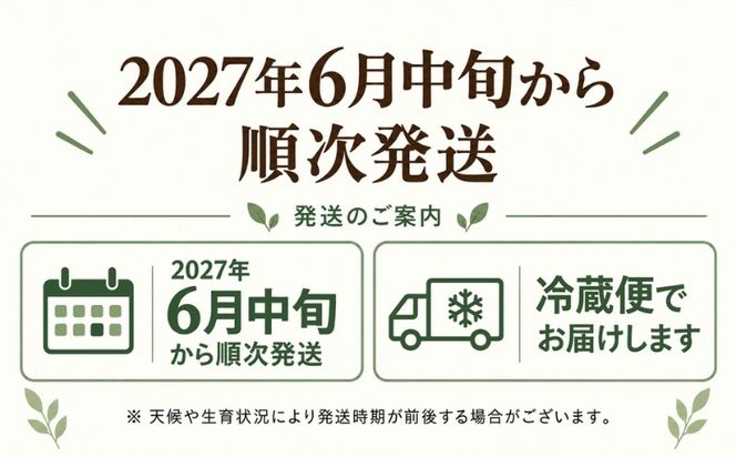 【ふるさと納税】	【2027年 先行予約】もぎたて発送！山梨県産 ヤングコーン 30本【栄養たっぷりヒゲ付き！】｜朝採れ もぎたて発送 ヒゲ付き 甘い 国産 とうもろこし トウモロコシ 野菜 産地直送 送料無料【炭香ファーム】FC004