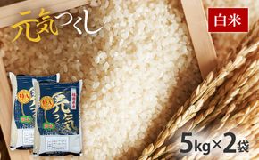 令和7年産　福岡県産ブランド米「元気つくし」白米10kg