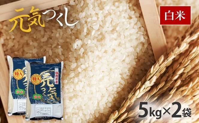 令和7年産　福岡県産ブランド米「元気つくし」白米10kg