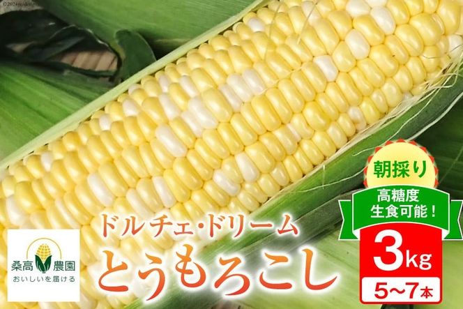 【期間限定発送】夢のような美味しさ！生食可能 高糖度 とうもろこし ドルチェ・ドリーム 3kg (5～7本) [桑高農園 静岡県 吉田町 22424250]