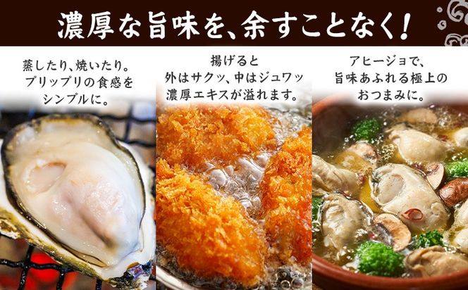 笠岡産 冷凍殻付き牡蠣 加熱用 選べる 1kg 2kg 《30日以内に出荷予定(土日祝除く)》岡山県 笠岡市 かき カキ 牡蠣 生牡蠣 瀬戸内海産 殻付き 冷凍---T-52---
