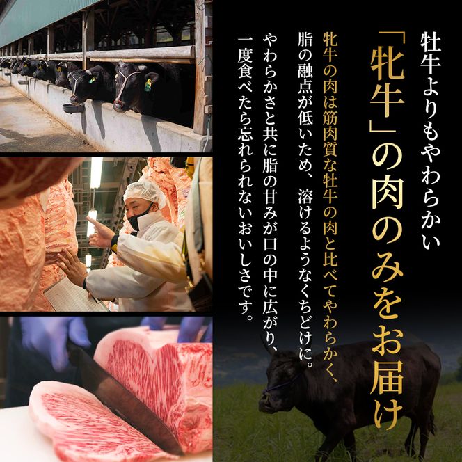 【最短7日以内発送】 神戸ビーフ 神戸牛 牝 極上焼肉 3種 食べ比べセット 計 900g 川岸畜産 焼肉 冷凍 肉 牛肉 すぐ届く お肉 和牛 食材 グルメ ブランド牛 日本産 国産 夕飯 晩御飯 夜ごはん