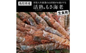 鳥取県産 生食用もさ海老 山田屋 312011_BH002