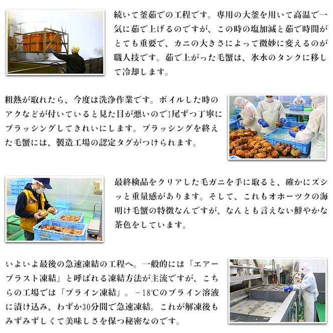 20-269 【甲羅組】北海道産　ボイル毛蟹