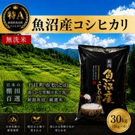 【令和7年産】【食味鑑定士厳選】日本棚田百選のお米 無洗米 天空の里 魚沼産 こしひかり 30kg(5kg×6)