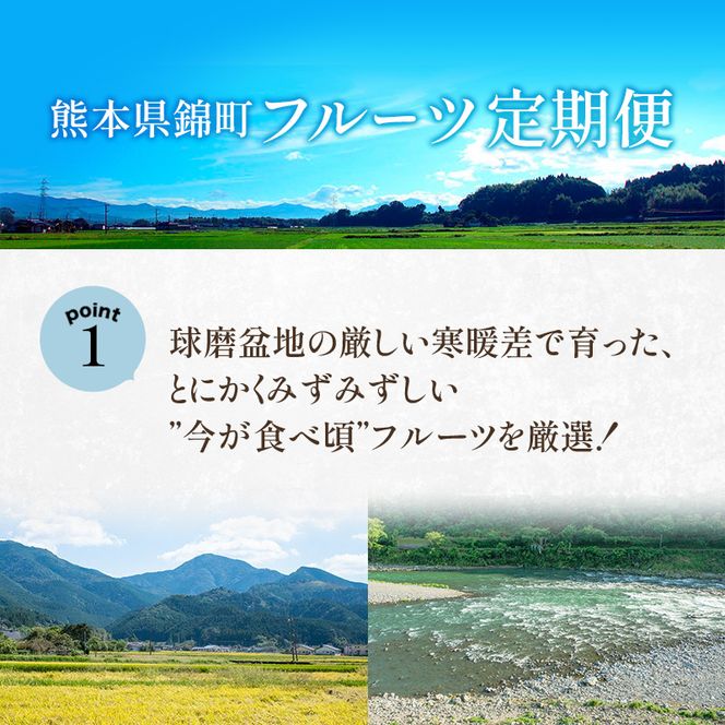 定期便 2回 先行予約 【 桃 白桃 6～7月頃 梨 8～10月頃 】白鳳 特製桃源郷錦 約1kg、清流錦梨 約5kg もも モモ なし フルーツ 果物 デザート お楽しみ 2026年発送 配送不可:離島 