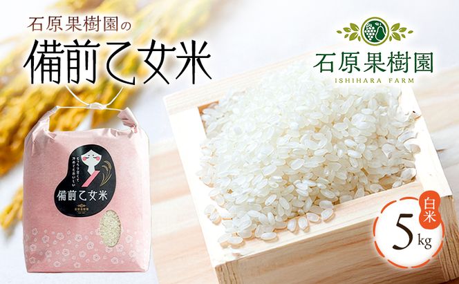 米 令和7年産 石原果樹園の備前乙女米 白米 5kg×1袋 ※11月上旬～順次発送予定 お米 精米 白米 ライス  乳酸菌栽培 岡山県 おにぎり お弁当
