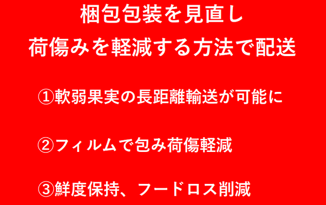 数量限定 いちじく 蓬莱柿 ほうらいし 約1kg 8粒～12粒 朝穫れ 果物 フルーツ 無花果 イチジク 愛知県産 デザート おやつ 食後 朝採り 産地直送 お取り寄せ 送料無料 名古屋西青果 愛知県 蟹江町