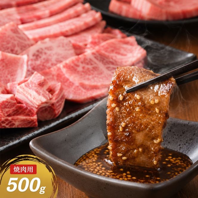訳あり 牛肉 切り落とし A4～A5 焼肉 博多和牛 500g 訳アリ 配送不可：離島