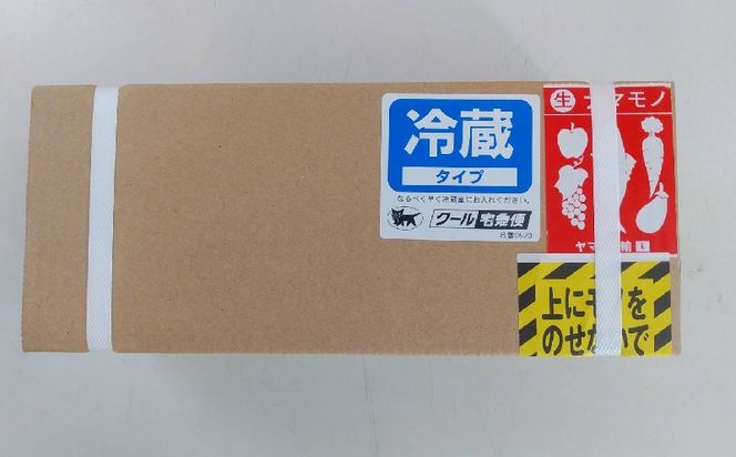 【2025年発送】大宜味村産 アーウィン種マンゴー　秀品1キロ以上 フルーツ 果物 くだもの 果実 沖縄 大宜味村 食べ物 国産 秀品 九州産 産地直送 ギフト プレゼント トロピカル 送料無料 甘味 スイーツ お取り寄せ デザート マンゴー