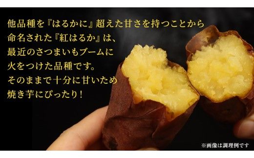 さつまいも 【 選べる品種 】 5kg / 10kg ( 箱込 ) サツマイモ さつま芋 芋 いも 野菜 焼き芋 スイーツ おやつ 国産 シルクスイート 紅はるか 紅あずま ふくむらさき ほしあかね