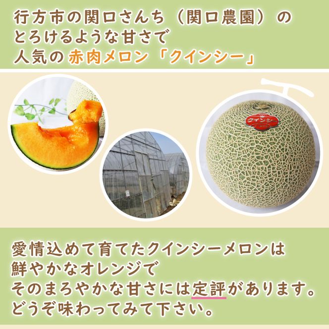 【2026年5月より順次発送】イバラキングメロン＆クインシーメロン（各1玉／計2玉）｜メロン クインシーメロン イバラキングメロン フルーツ 果物 くだもの セット 先行予約 茨城県 行方市(BW-21-1)