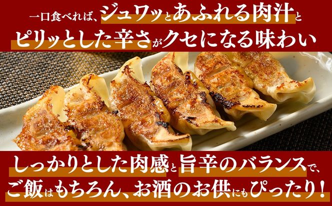 冷凍 生餃子 大人のピリ辛 肉屋の餃子（40個入り） 1パック