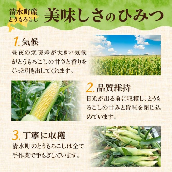 【2026年8月～発送開始！】北海道十勝清水町産 黄金の甘さ ゴールドラッシュ！サイズ混合 10～12本 北海道産 2026年 とうもろこし とうきび 産直 産地直送 清水町 北海道_ S021-0019