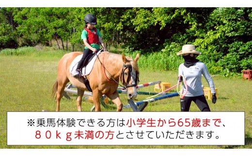 乗馬体験１回コース 乗馬 レッスン 見学 初心者 日帰り 体験 馬 チケット[CJ001us]