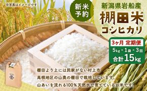 【新米受付・令和8年産米】【定期便：3ヶ月連続でお届け】新潟県村上市岩船産 棚田米コシヒカリ 5kg×3ヶ月　1011003N