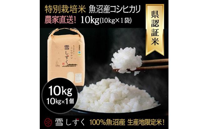令和8年産！県認証特別栽培魚沼産コシヒカリ【農家直送！】 10kg×1袋 お米 米 コメ