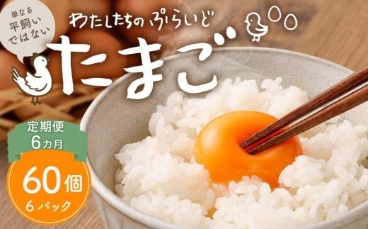 【定期便：6か月】【食べチョクアワード2025 畜産部門 1位の日本一のたまご】単なる平飼いではない究極の卵『わたしたちのぷらいどたまご』6パック（60個）セット