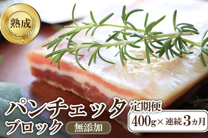 【定期便 毎月×3回】パンチェッタブロック（豚バラ肉の塩漬け）　約200g×2袋 ふるさと納税 豚肉 塩漬け ふるさと納税 ベーコン ふるさと納税 パンチェッタ 豚バラ 塩漬け スペイン料理　NI00023