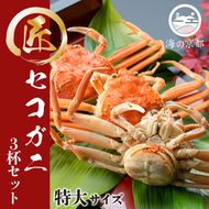 セコガニ コッペがに 子持ち 特大サイズ 3杯セット 冷蔵 蟹 カニ かに 松葉蟹 松葉ガニ ズワイガニ ボイル myz05