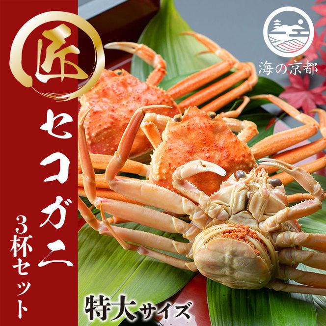 セコガニ コッペがに 子持ち 特大サイズ 3杯セット 冷蔵 蟹 カニ かに 松葉蟹 松葉ガニ ズワイガニ ボイル myz05