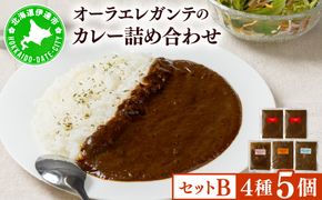 欧風カレー専門店の厨房でじっくり煮込んだカレーの詰め合わせ (冷凍)【Bセット／5個】カレーライス レトルト 詰合せ 食べ比べ オーラエレガンテ【ora-002】