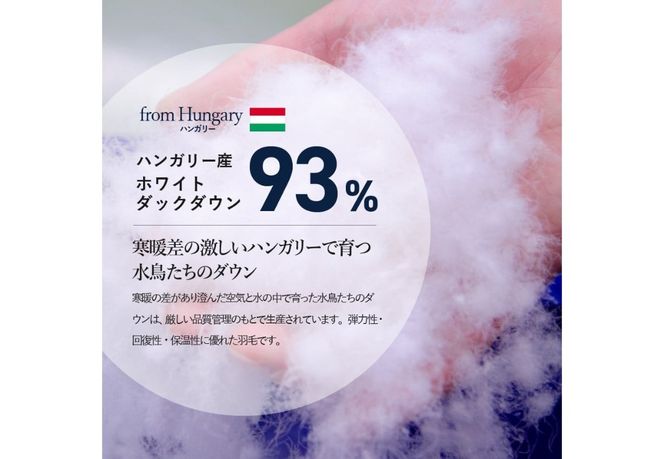 羽毛布団 【ダニ忌避率95.9％】 ちょうどいい中厚タイプの羽毛布団 ディープブラウン 【ホテル仕様】 シングル～ダブル 合掛け 羽毛布団 寝具 掛けふとん 布団 掛布団 ふとん すぐ届く 最短3日発送 最短発送 最速発送 スピード発送 山梨 富士吉田